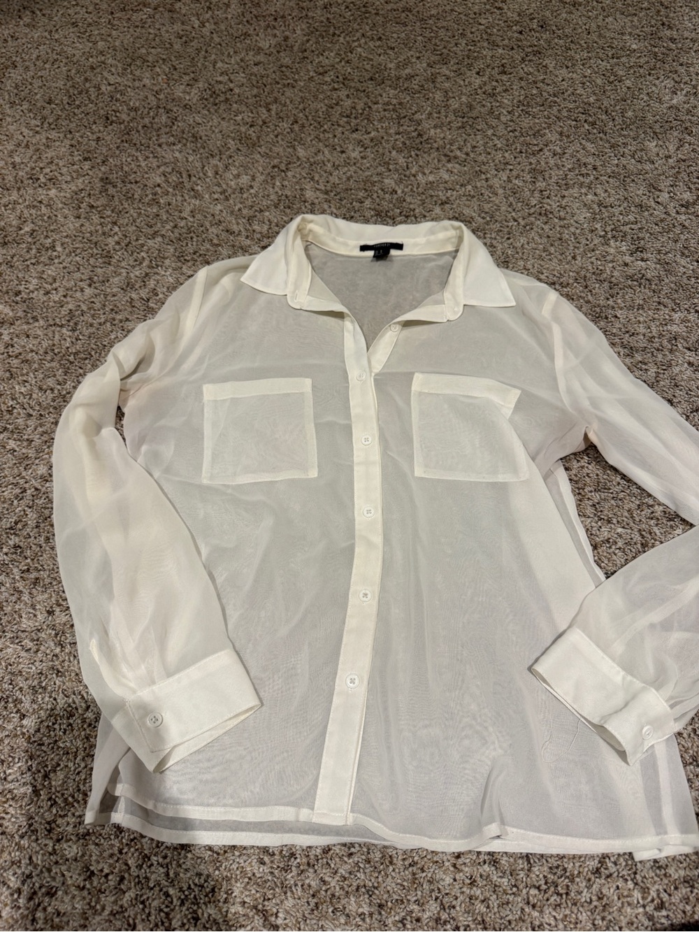 Sheer Button-Up Blouse